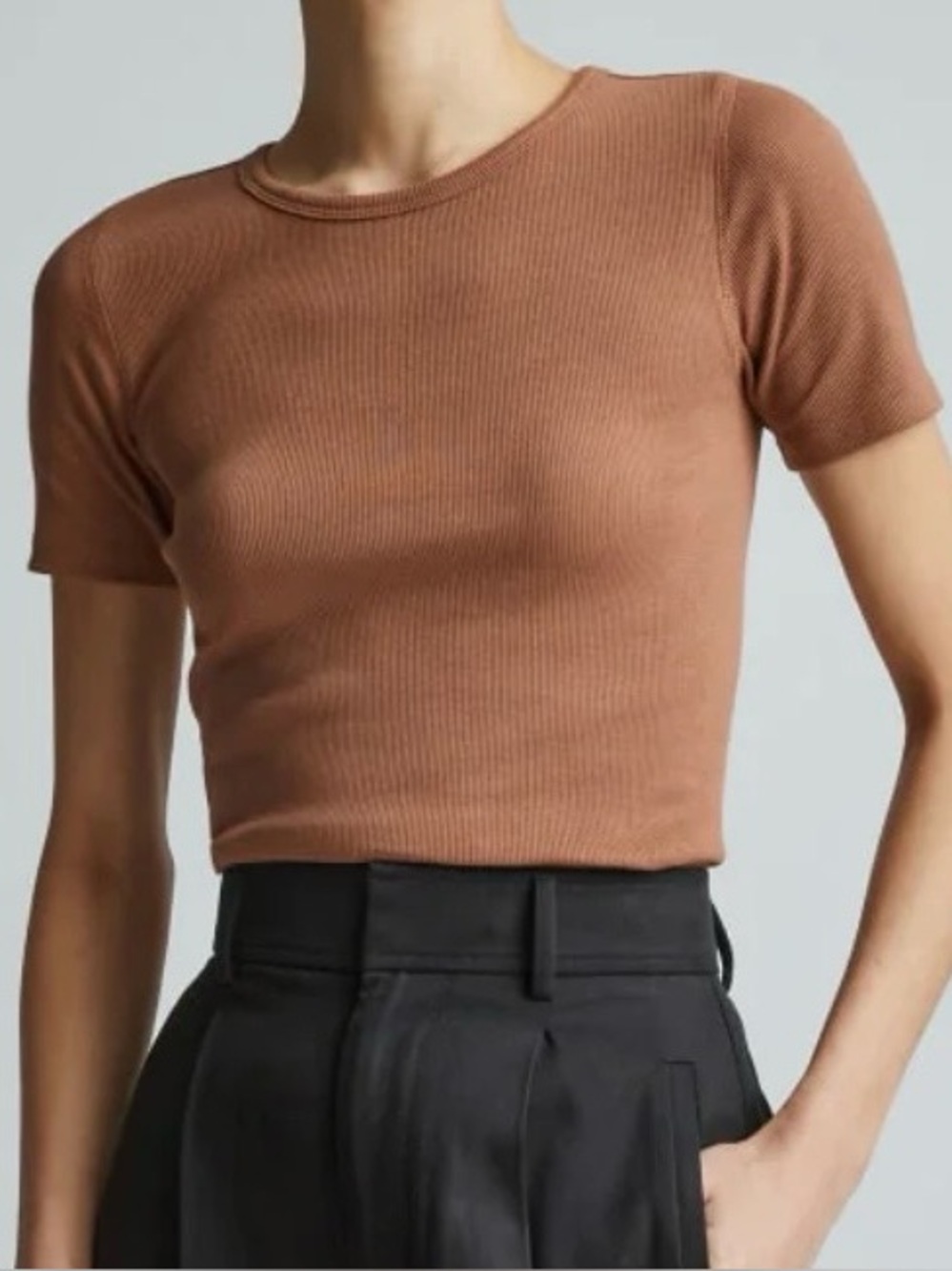 Everlane Pima Luxe Rib Tee - Picture 2 of 8